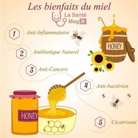 Miel de printemps ou crémeux 500gr