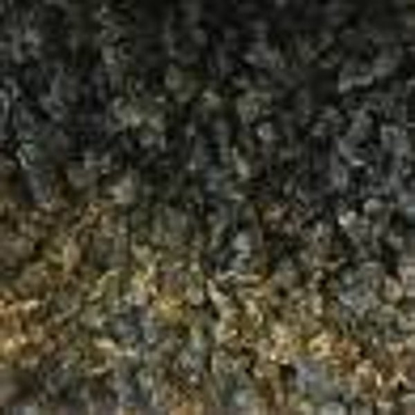 Oolong Dung Ding thé vert du VIETNAM