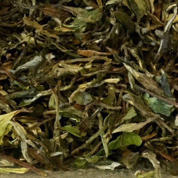 Pai Mu Tan  thé blanc