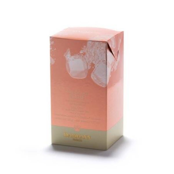 Thé glacé pêche 6 sachets cristal