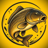 CarpTeamFjz