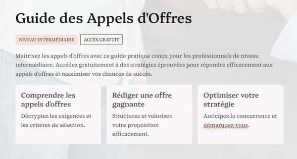 Guide appels d'offres niveau intermédiaire gratuit