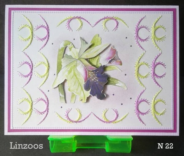 N 22
