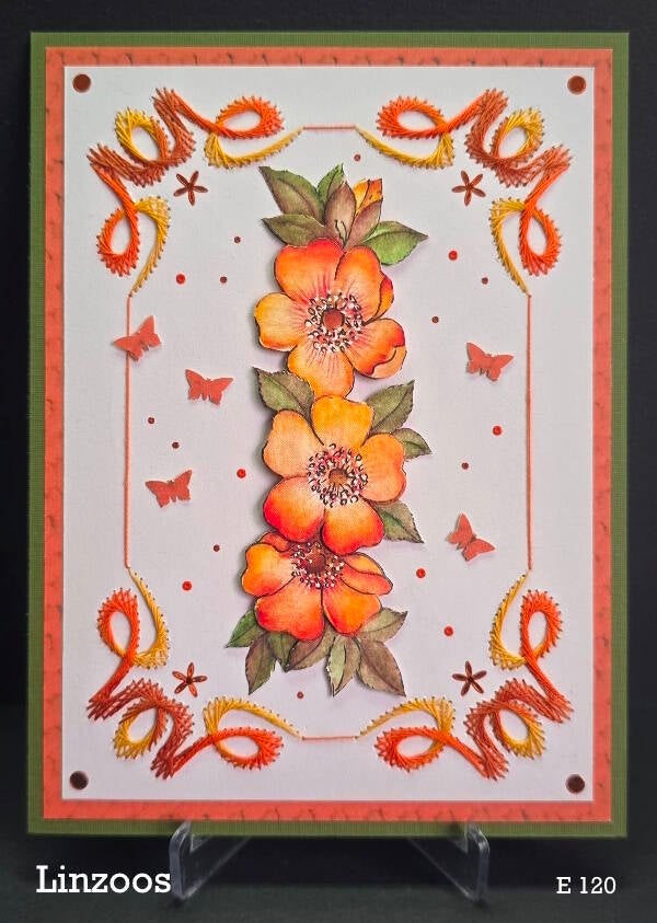 E 120