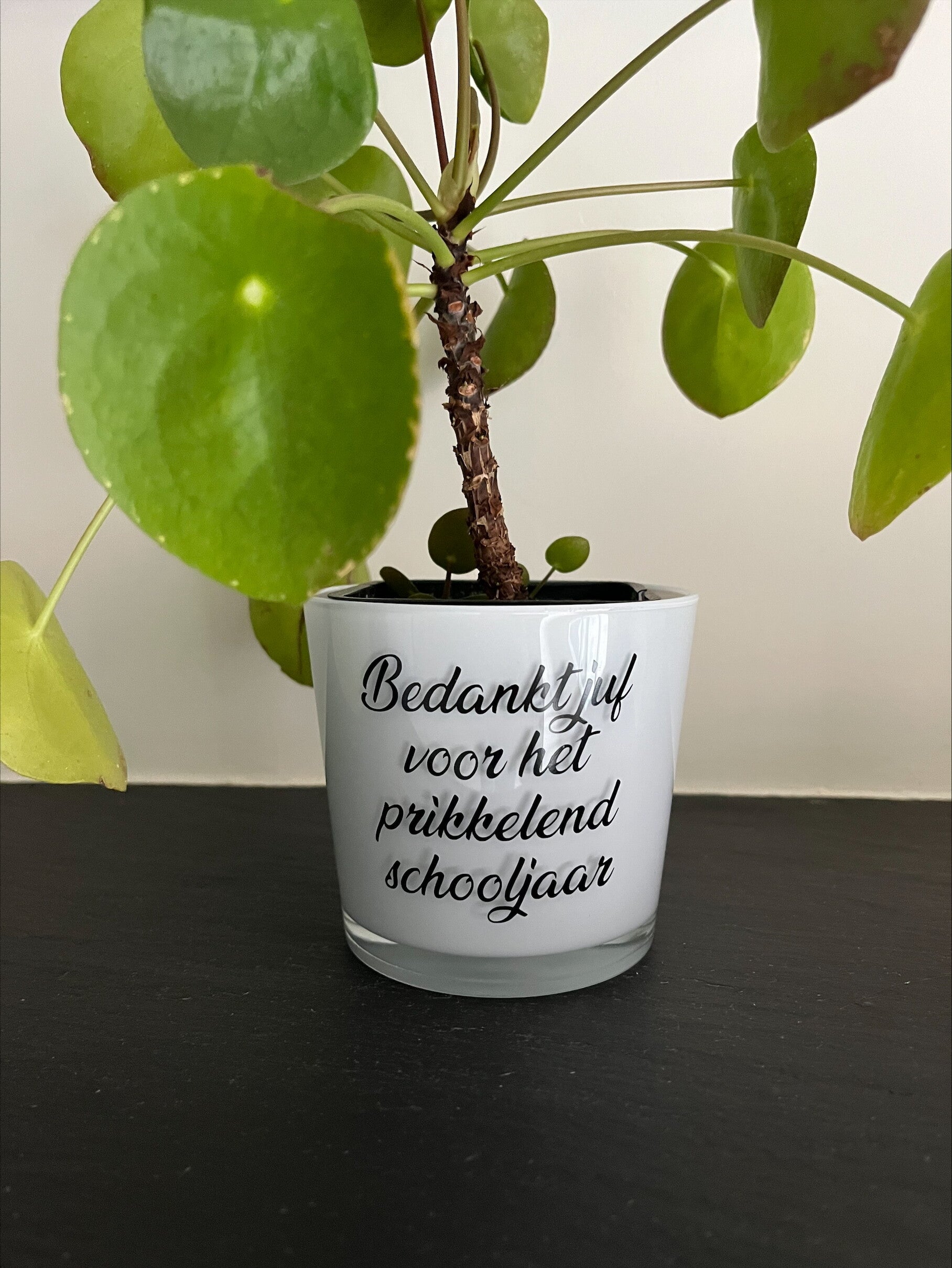 bloempot 9 cm hoog