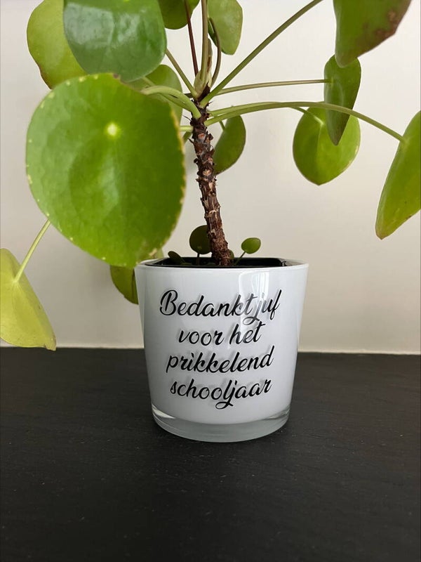 bloempot 9 cm hoog