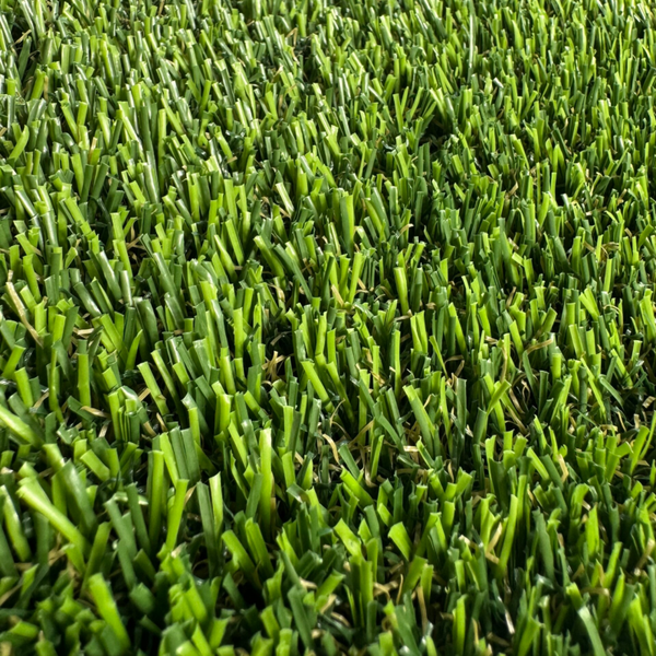 Pet & Paver 81 (Formerly Pet & Paver 55)