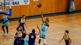 dsc00516-standard-phnxmq.jpg