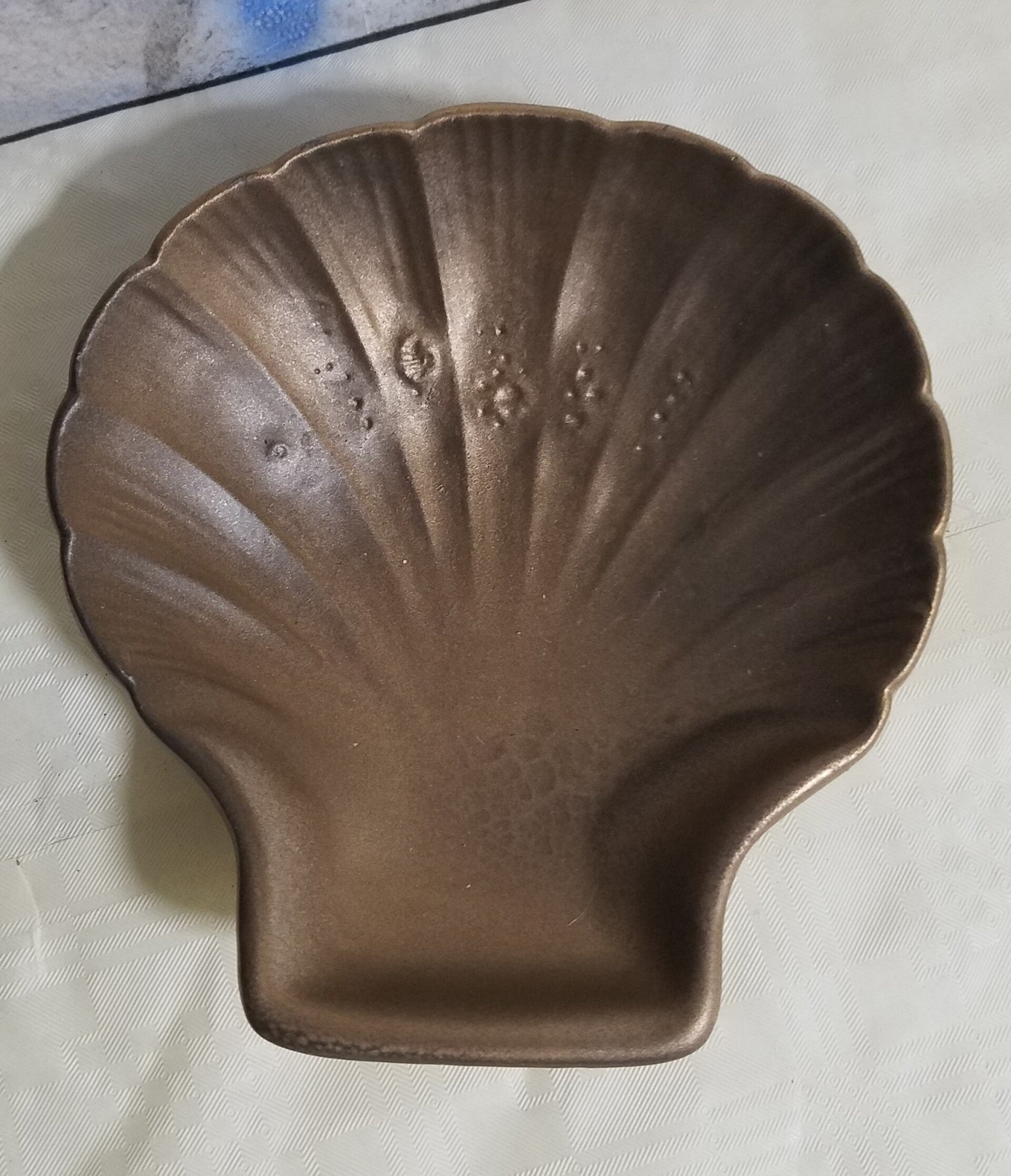 Muschelschale - Einzelstück