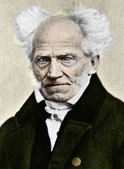 Arthur Schopenhauer Volonté
