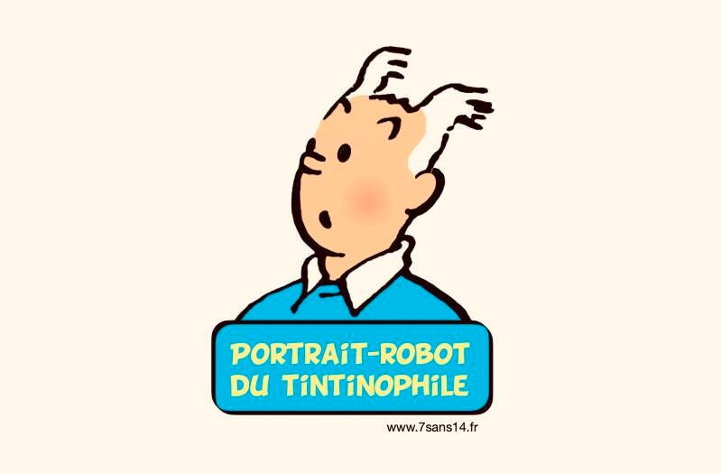 Pour en finir avec Tintin !