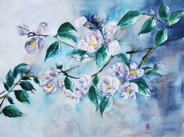 "Sous les cerisiers"