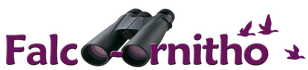 Falco ornitho Birding Tours