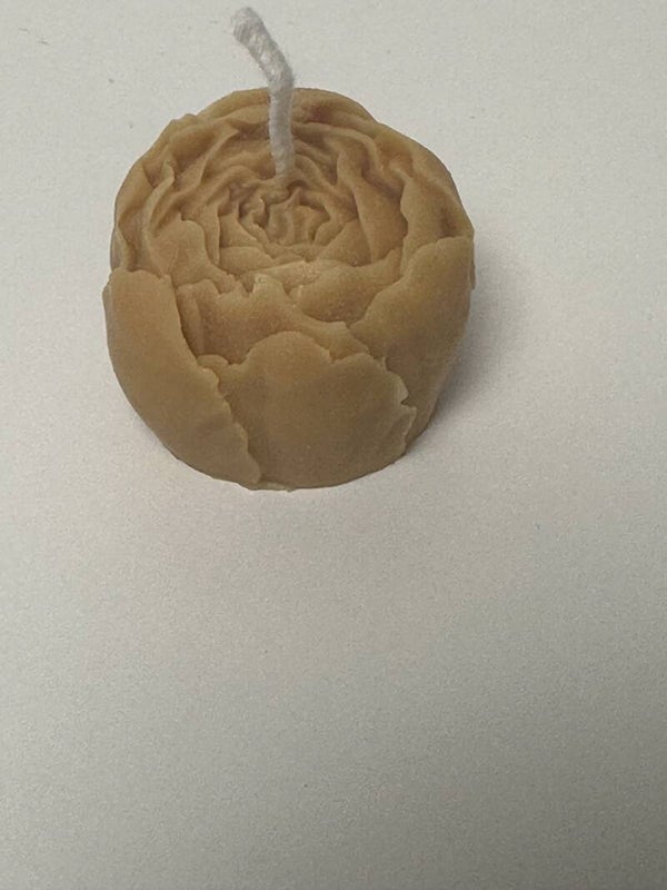 PACK 3 WAX MELTS CAMELIAS