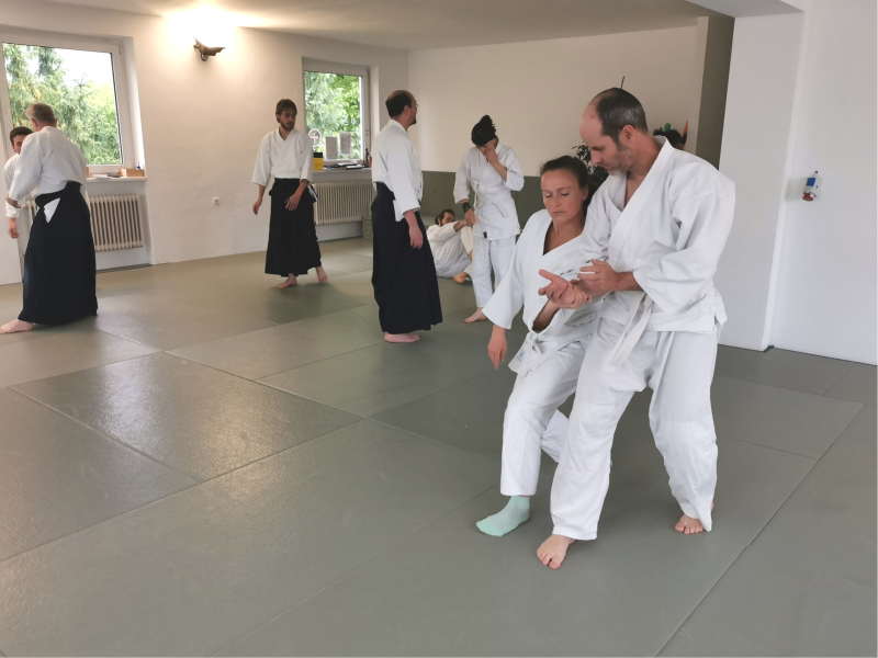 Aikido - Probetraining