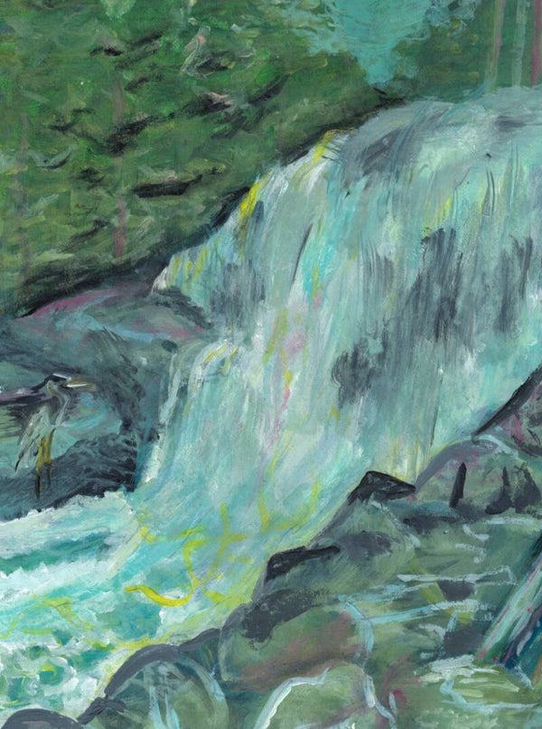 Gold Creek Falls
