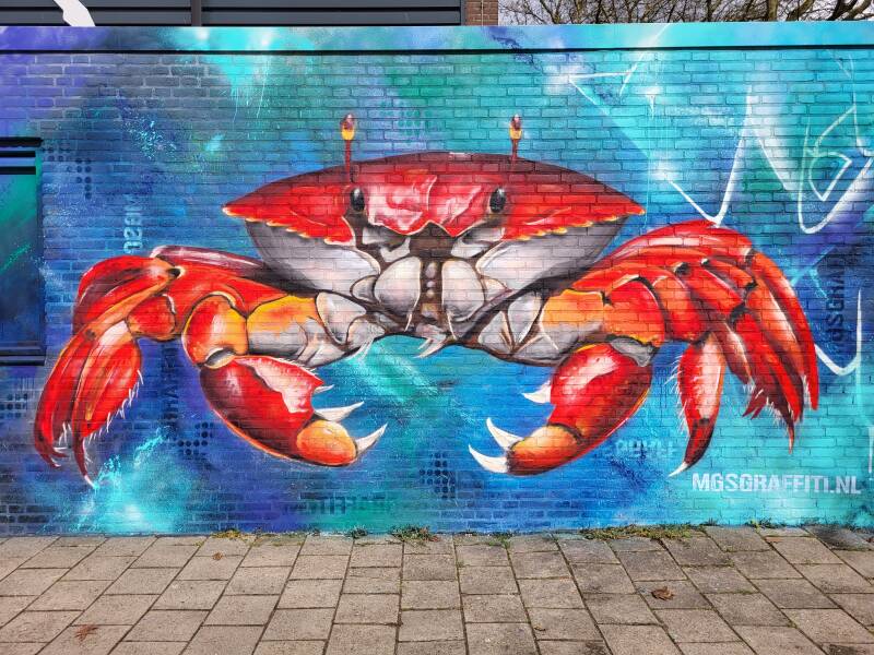 mgsgraffiti-nl-muurschildering-krab-standard.jpg