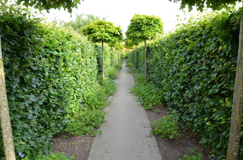 07-meckelburg-1-standard-9awcts.jpg