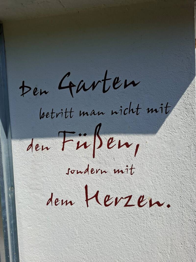 17-fleck-1-standard.jpg