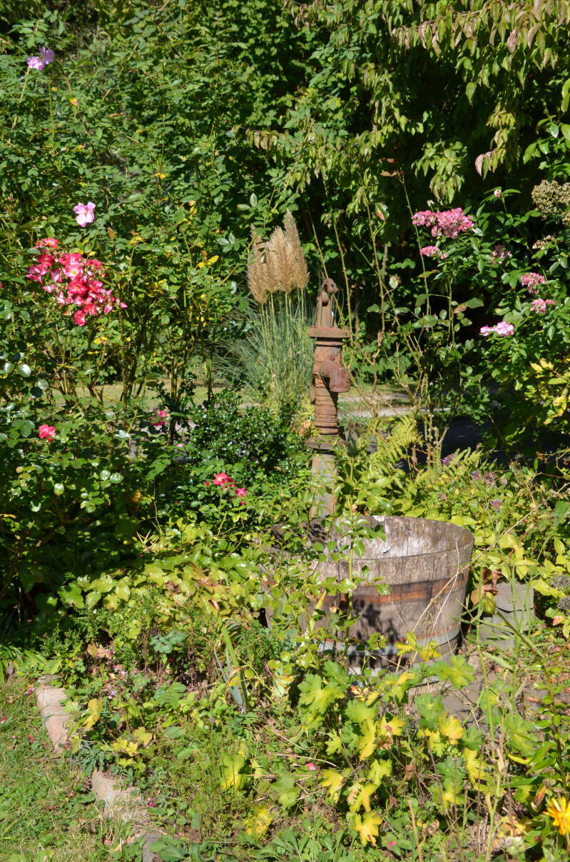 dsc_0071-standard.jpg