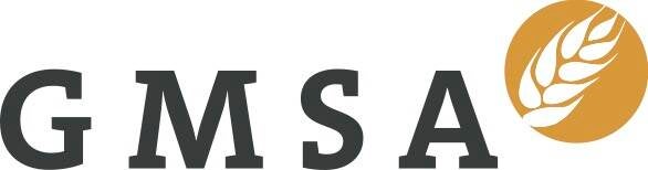 GMSA