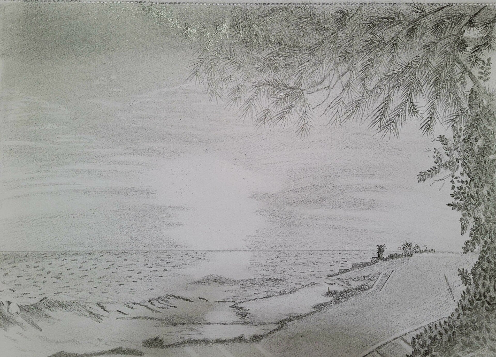 Water Scene