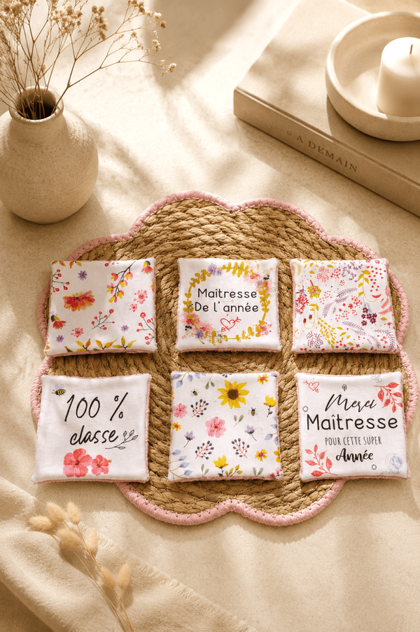 Lot de 6 lingettes Maîtresses