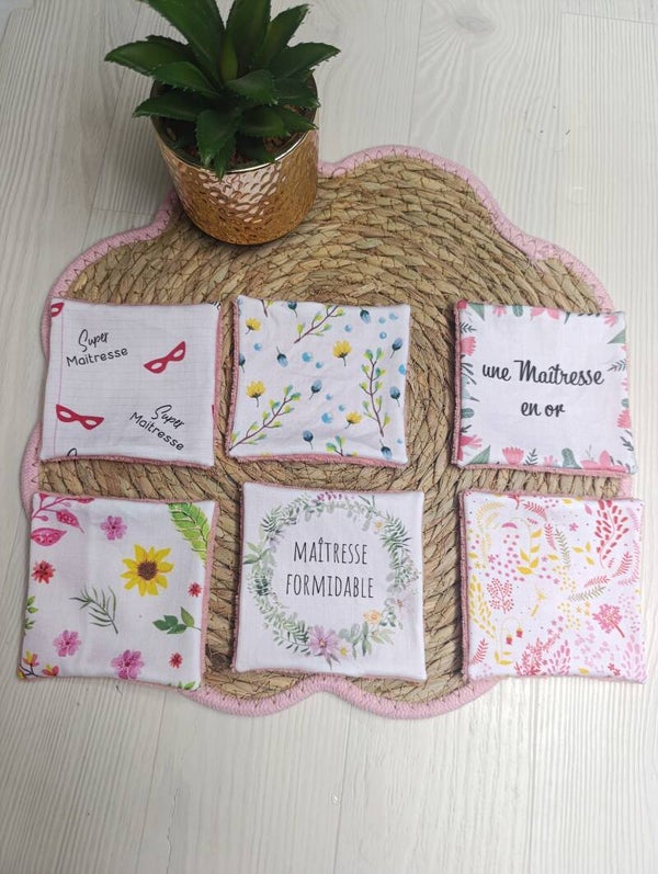 Lot de 6 lingettes Maîtresses