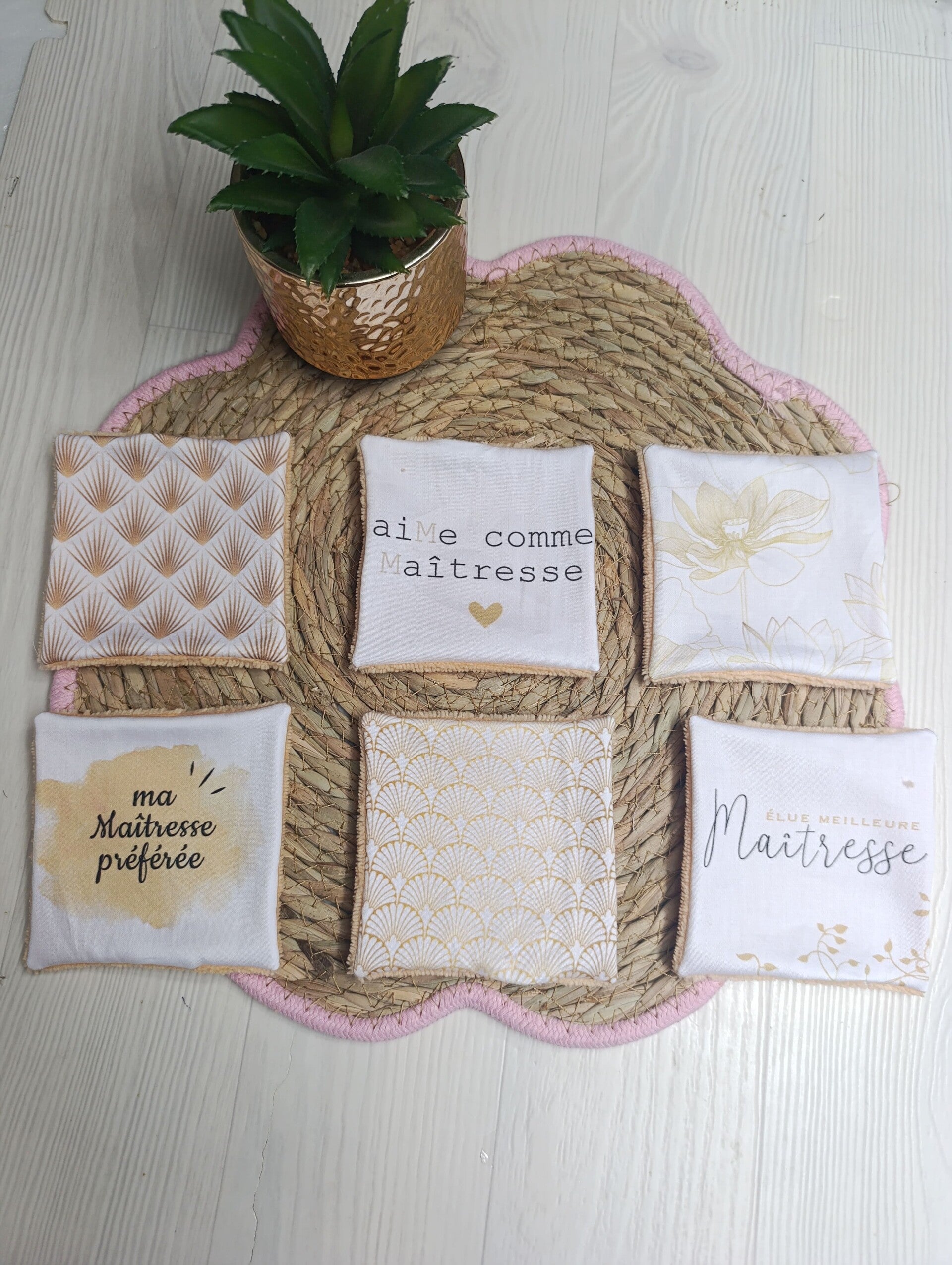 Lot de 6 lingettes Maîtresses
