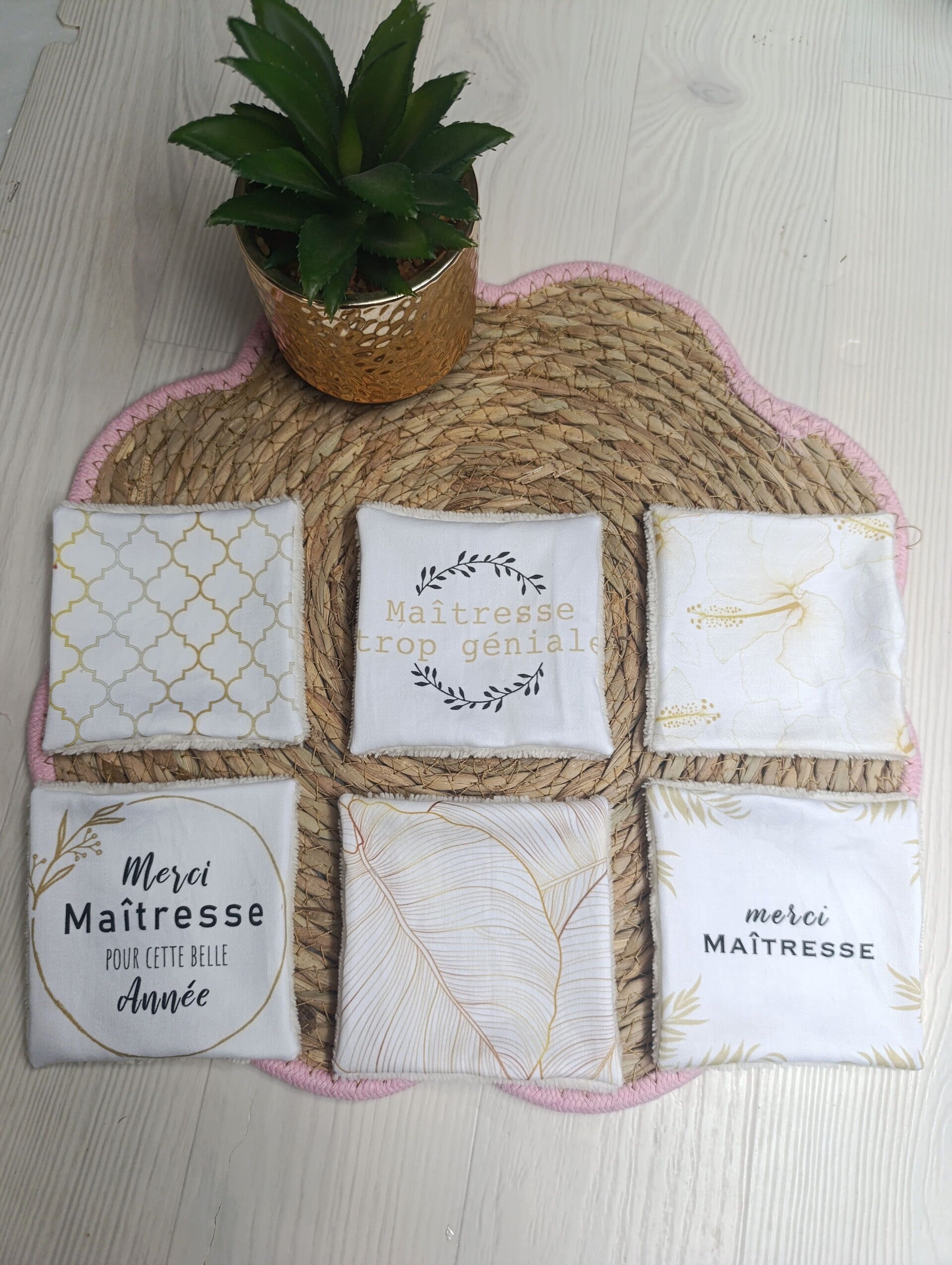 Lot de 6 lingettes Maîtresses