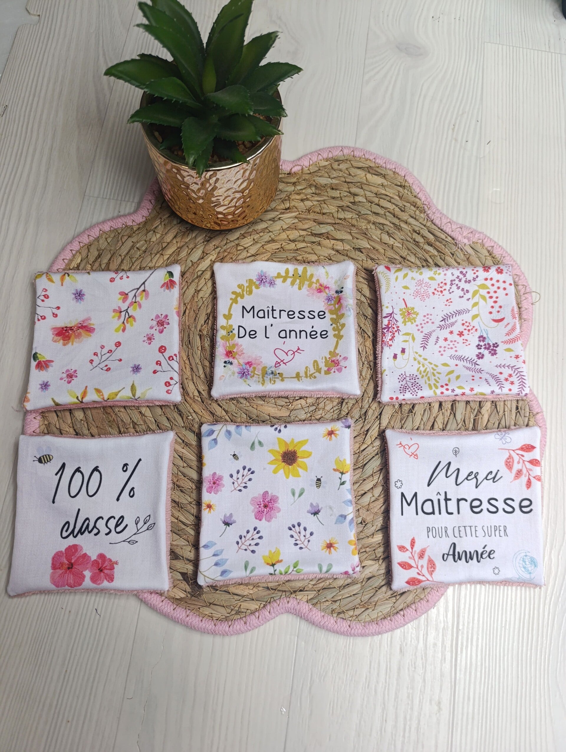 Lot de 6 lingettes Maîtresses