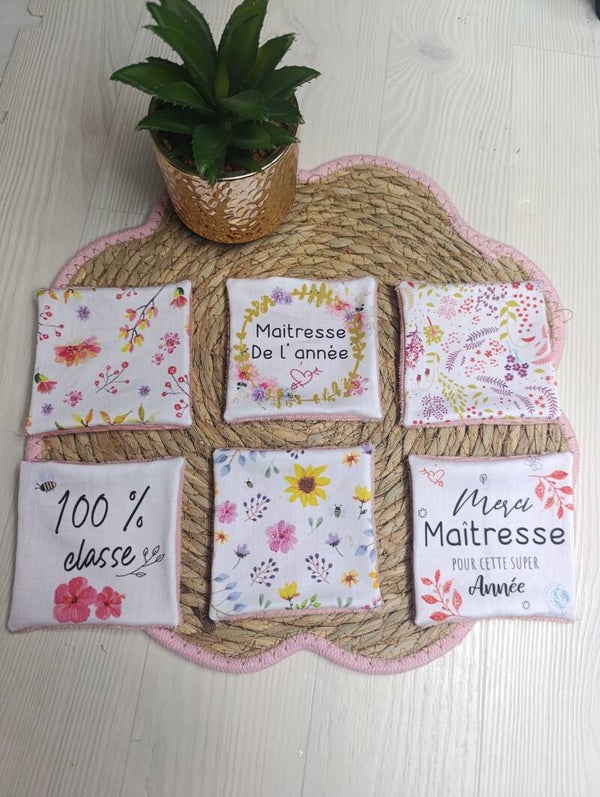 Lot de 6 lingettes Maîtresses