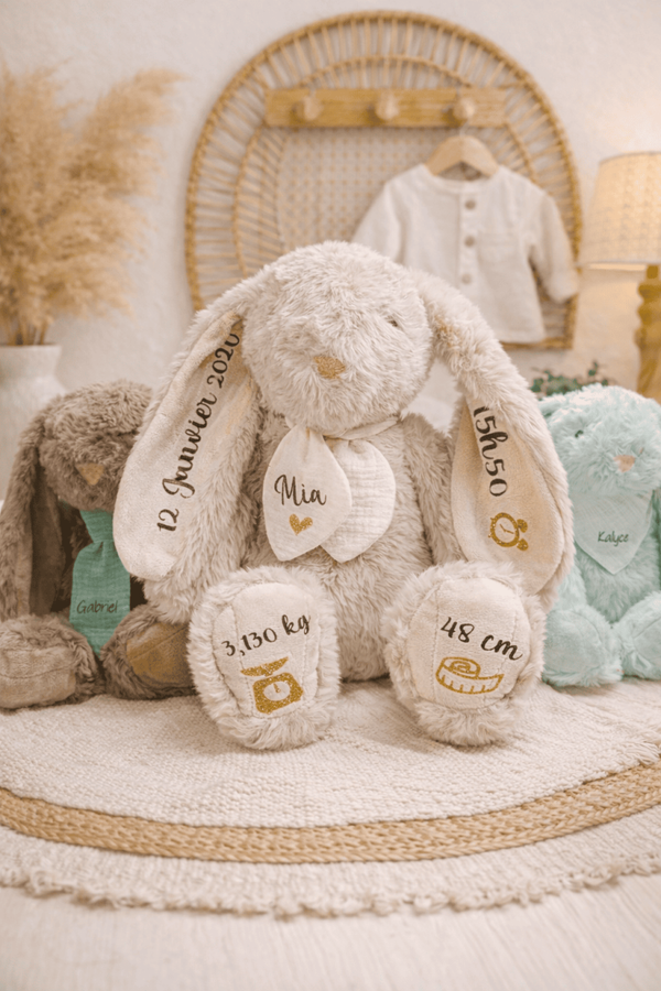 Doudou lapin peluche souvenir naissance