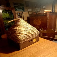 20240311_183154-1.jpg