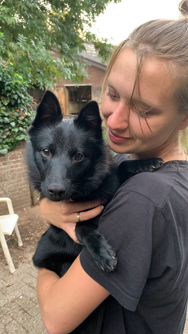 Ravenna de la Tangi Morgane