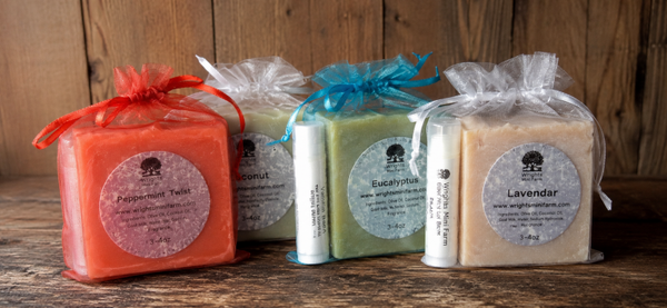 Goat Milk Soap & Lip Care Gift Set