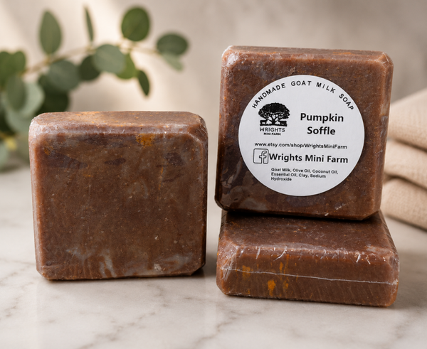 Pumpkin Souffle Goat Milk Soap