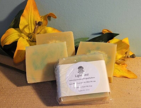 Coconut Goat Soap