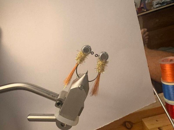 Seed shrimp