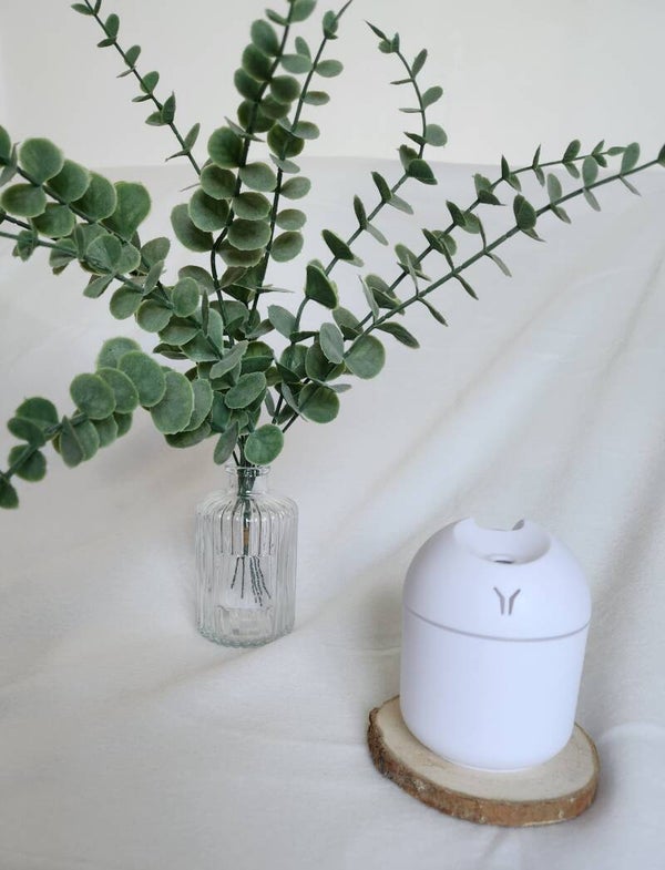 Mini diffuseur/humidificateur
