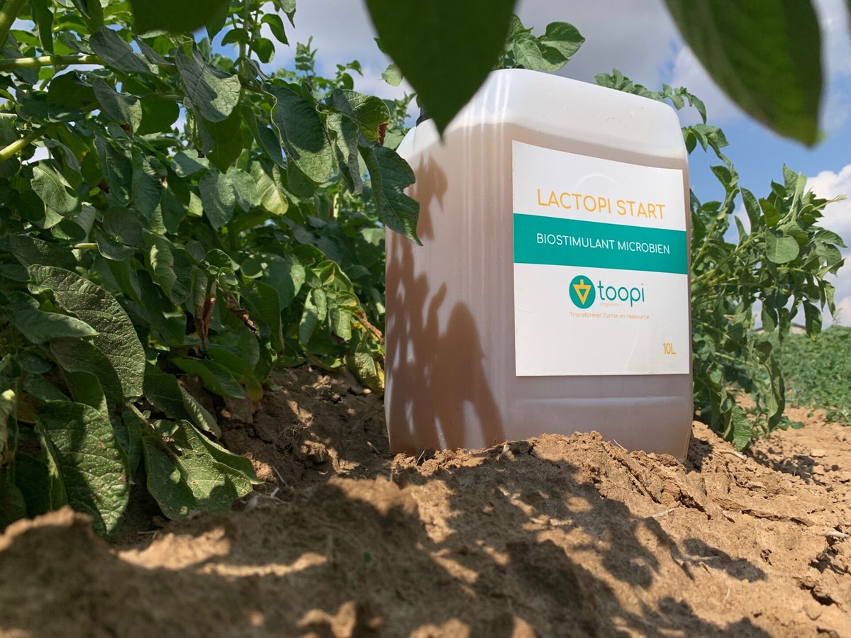 Biostimulants de Toopi Organics / Projets européens soutenus ...