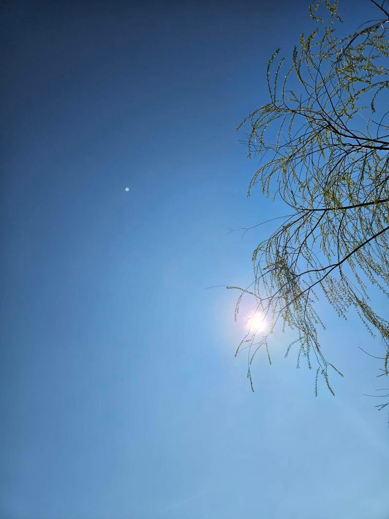 20260319_132632-standard.jpg