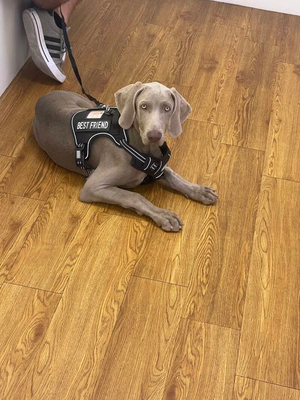 Viajes dentro y fuera del país