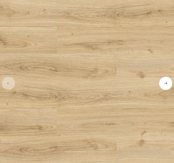 SERENGETI - m²/16,99 Euro mit SOCKELLEISTER