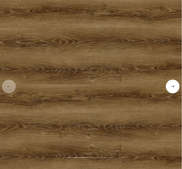 GOBI - m²/16,99 Euro mit SOCKELLEISTER