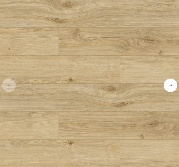 GIESSEN - m²/19,99 Euro mit SOCKELLEISTER