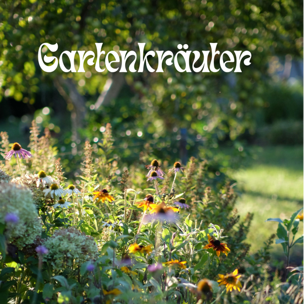 🌿 Kräuterwanderung im Garten – Heil- und Räucherkräuter entdecken, Sonntag 03. Mai 2026 um 14:00 Uhr