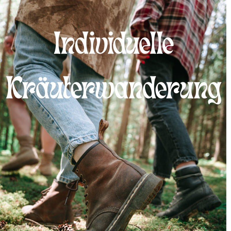 🌿 Individuelle Kräuterwanderung – ganz nach Ihren Wünschen