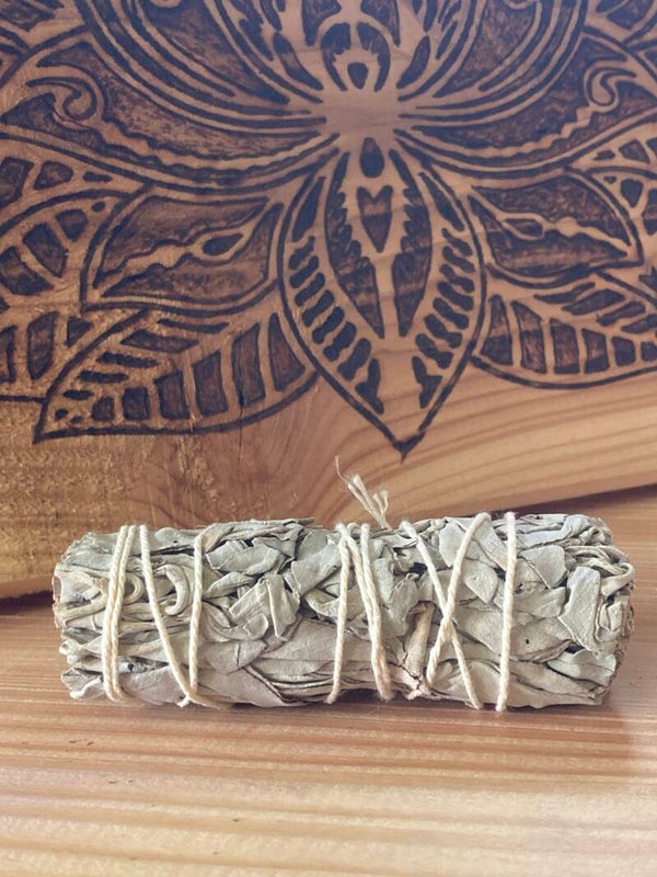 Weißer Salbei Smudge 10cm