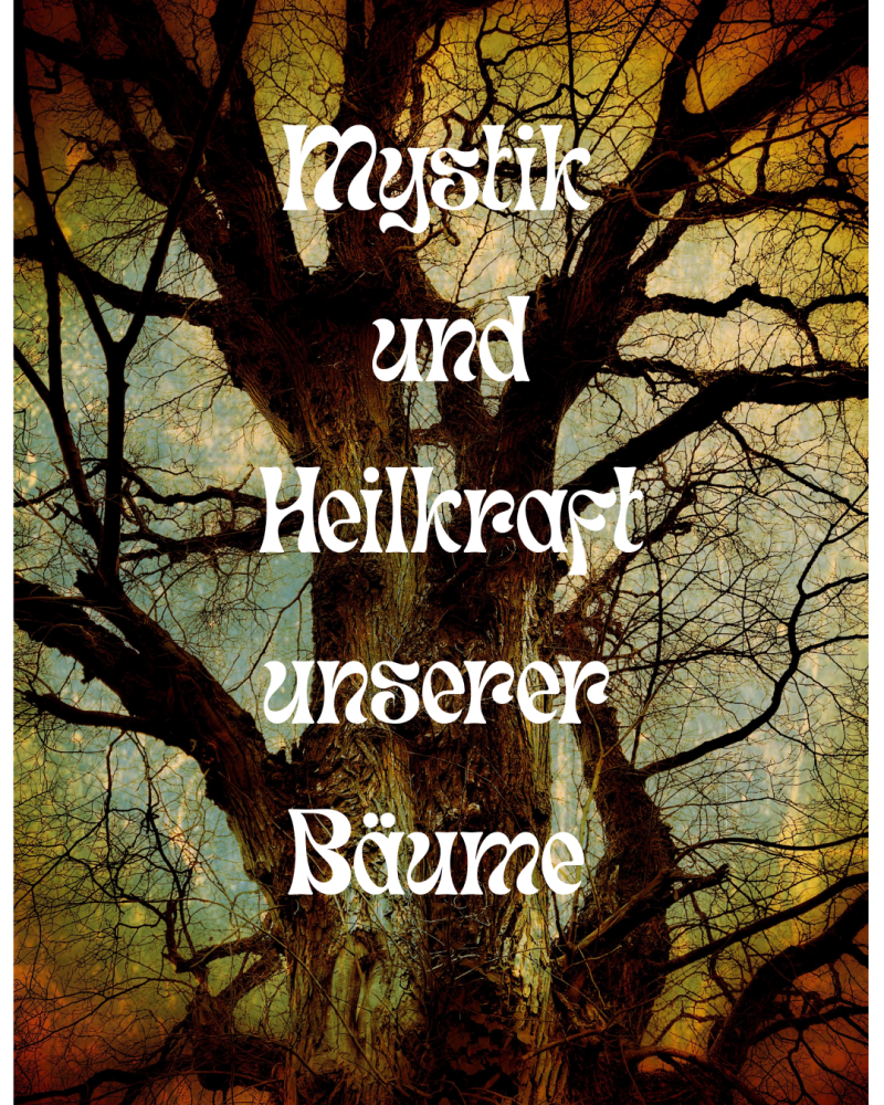 🌳Den Zauber der Bäume wieder entdecken - Sonntag, 12. April 2026